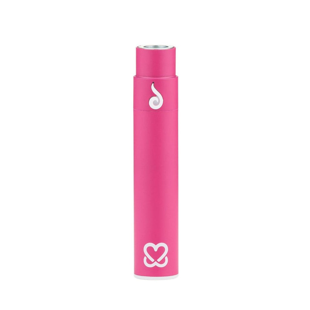 Accessories PINK Edition Replacement Battery