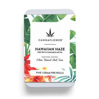 Hawaiian Haze Pre-roll 5 Pack