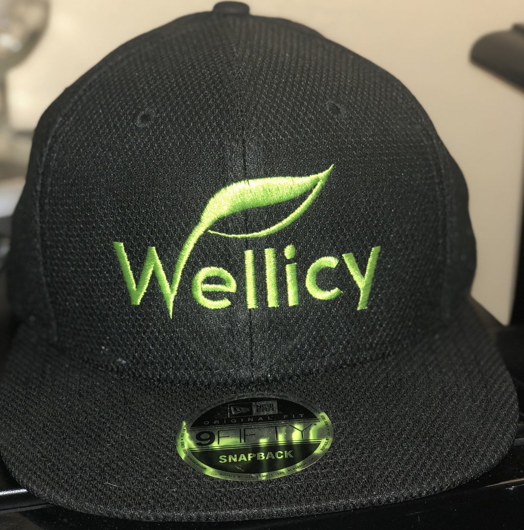 Hats & Beanies Wellicy New Era Snapback Hat