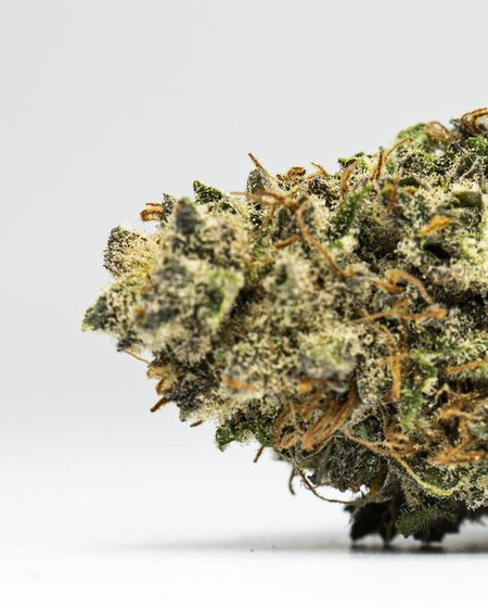Black Tie CBD | SOUR LIFTER Hemp Flower (INDOOR)